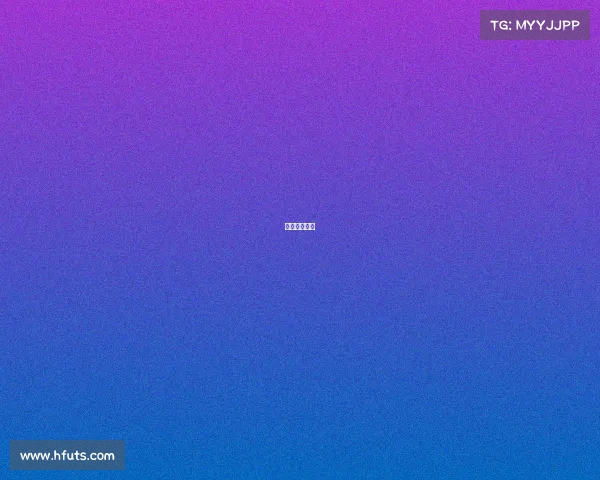 猎豹网络公司 猎豹网络公司